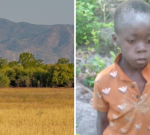 Missing boy, 8, found alive after five days in lion-infested Zimbabwe game park