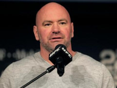 Meta adds three board members including UFC boss Dana White