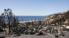 Rebuilding after the Palisades fire in Los Angeles: California vows to slash red tape ahead of 2028 Olympics