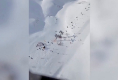 Dozens injured in Spanish ski lift collapse