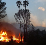 Trump threatens to withhold federal aid for LA wildfires over California water rules