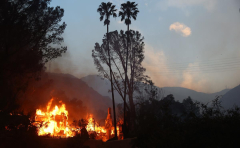 Trump threatens to withhold federal aid for LA wildfires over California water rules