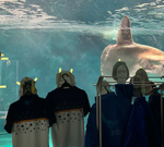 Japanese aquarium cheers up lonely sunfish with cardboard cutouts of people