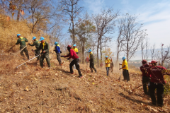 Forest burners in Korat arrested