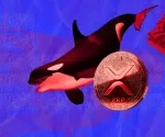 XRP News: Ripple Whales Push 120 Million XRP in Recent Market Dip