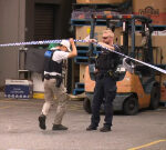 Wanted man dies at Lynbrook Village Shopping Centre in Melbourne after fleeing police