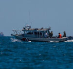 Conservation groups look for new strategies, tech to halt vaquita decline