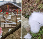 Chinese attraction apologises for winter wonderland made of cotton and bedsheets