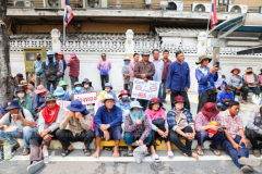 Thai farmers protest falling rice prices