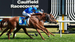 Devil Night hangs on in thrilling Blue Diamond Stakes finish