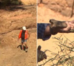 North Plympton dig uncovers a new site of interest in the search for the missing three Beaumont children