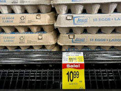 Are egg producers inflating prices during the bird flu outbreak to boost profits?