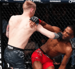 UFC Fight Night 253 video: Sam Patterson flattens Danny Barlow for upset opening-round finish