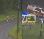 Multiple soldiers injured in Lismore, NSW as two army trucks collide on their way to help flood-hit region