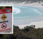 Duke of Orleans Bay: Emergency services responding to reports of a shark attack at popular beach