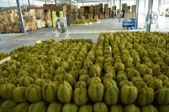 Fruit exports produce $6.51bn