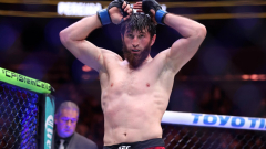 Magomed Ankalaev quietly flexes on UFC fighters who picked Alex Pereira to beat him