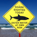 Police say surfer ‘taken by shark’ in Western Australia