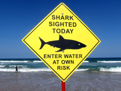 Police say surfer ‘taken by shark’ in Western Australia