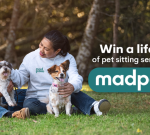 Mad Paws Pet sitting services for life