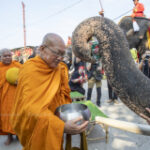 Thailand celebrates National Thai Elephant Day