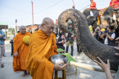 Thailand celebrates National Thai Elephant Day