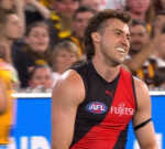 Essendon coach Brad Scott reacts to costly free kick: ‘Ask the umpires’