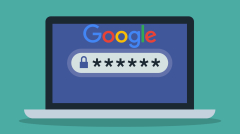 How to use the Google Password Manager