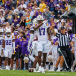 LSU wide receiver Chris Hilton talks transfer portal additions, what it means for the team