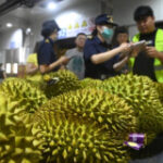 Indonesia poised to export durians to China, threatening Thai dominance