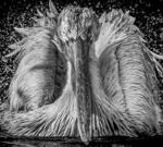 Your pictures on the theme of ‘monochrome’
