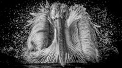 Your pictures on the theme of ‘monochrome’