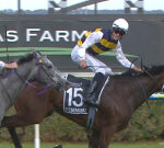 Unlikely $19 outsider Femminile’s value skyrockets after Group 1 South Australian Derby triumph