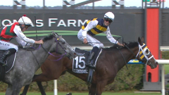 Unlikely $19 outsider Femminile’s value skyrockets after Group 1 South Australian Derby triumph