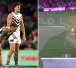 Fremantle suffer nightmare loss to St Kilda as AFL world universally slam dismal performance
