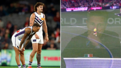 Fremantle suffer nightmare loss to St Kilda as AFL world universally slam dismal performance
