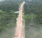 Amazon forest felled to build road for climate summit