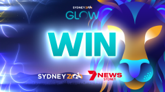 GLOW at Sydney Zoo is back better than ever!