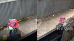 Second driveway defecator caught on CCTV in Adelaide