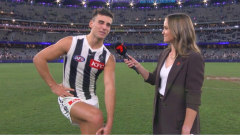 Collingwood sweating over scans results for three players including Nick Daicos
