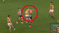 Hawthorn big man Lloyd Meek escapes ban for late hit that concussed Pat Lipinski