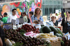 Bumper harvests aren’t bringing tidy profits