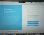 Sweden bans OnlyFans in crackdown on digital exploitation