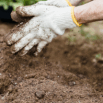 Making a mess with mulch