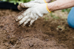 Making a mess with mulch
