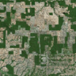 In the Brazilian Amazon, decentralization can be a double-edged sword