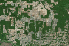 In the Brazilian Amazon, decentralization can be a double-edged sword