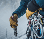 Five Ways Companies Learn to Thrive in an Unpredictable World -PARTHENON