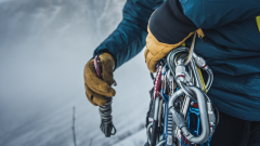 Five Ways Companies Learn to Thrive in an Unpredictable World -PARTHENON