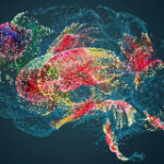 Your forgotten memories continue to influence the choices you make